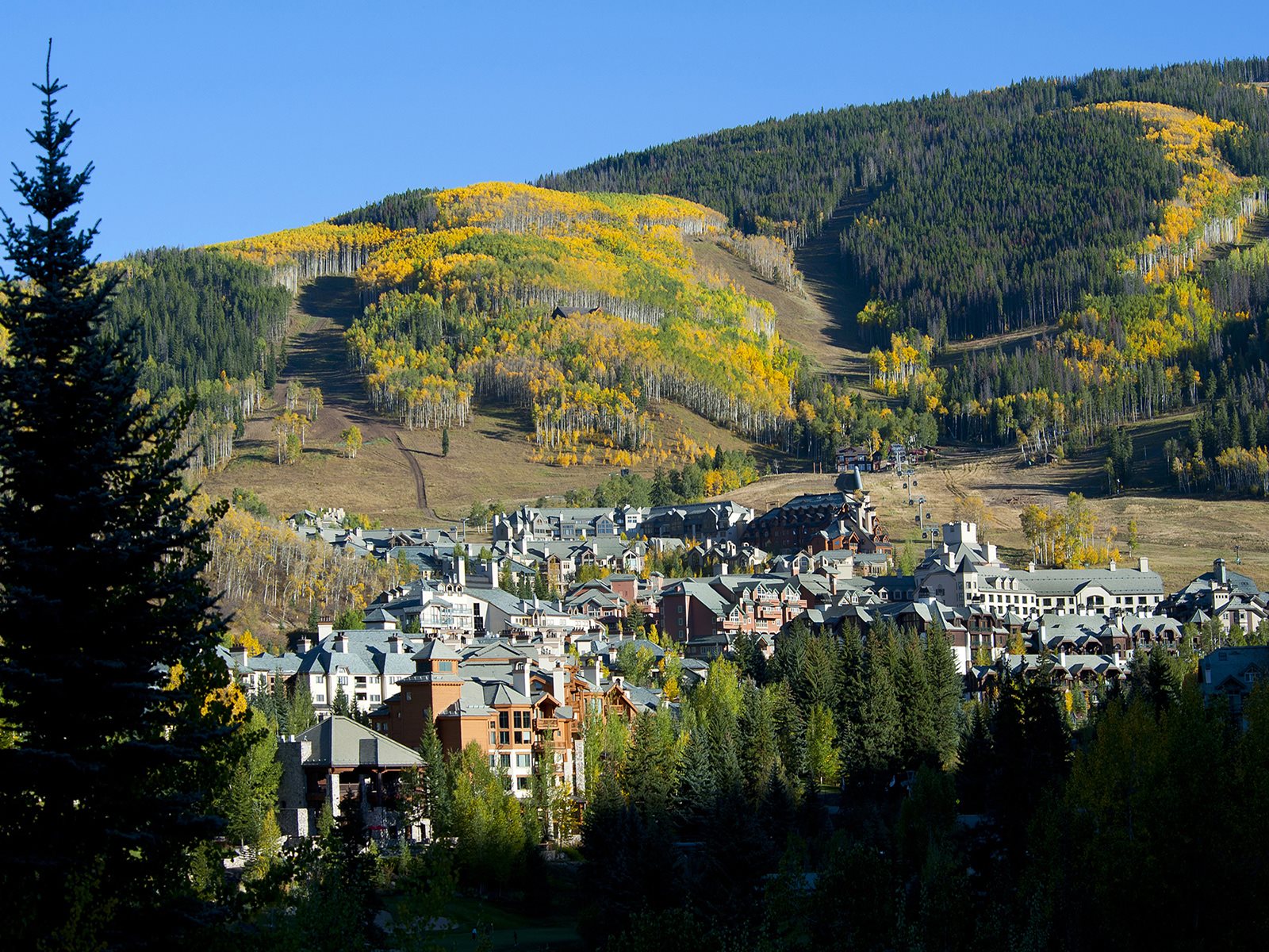 Beaver Creek Vacation Rental SkiIn SkiOut Condo Townsend 205